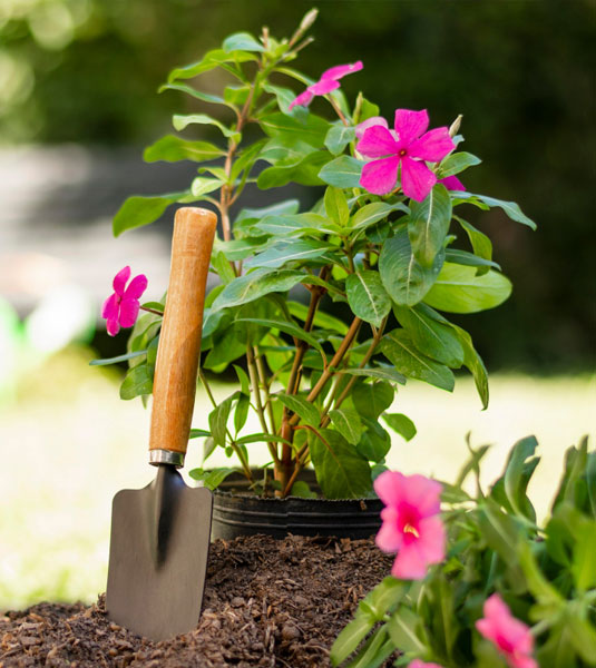 flowerscaping