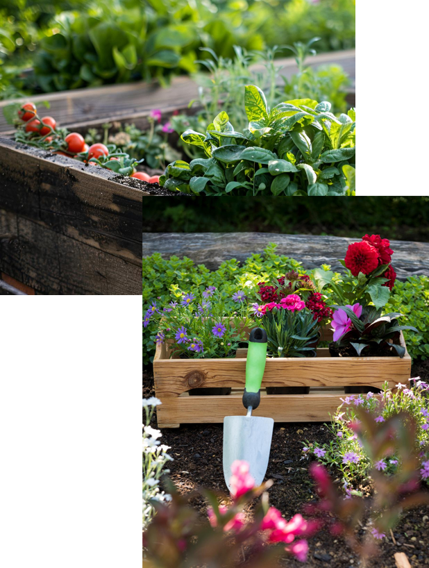garden services