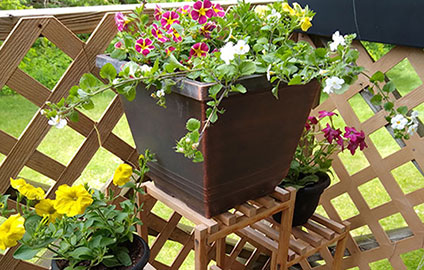 balcony garden
